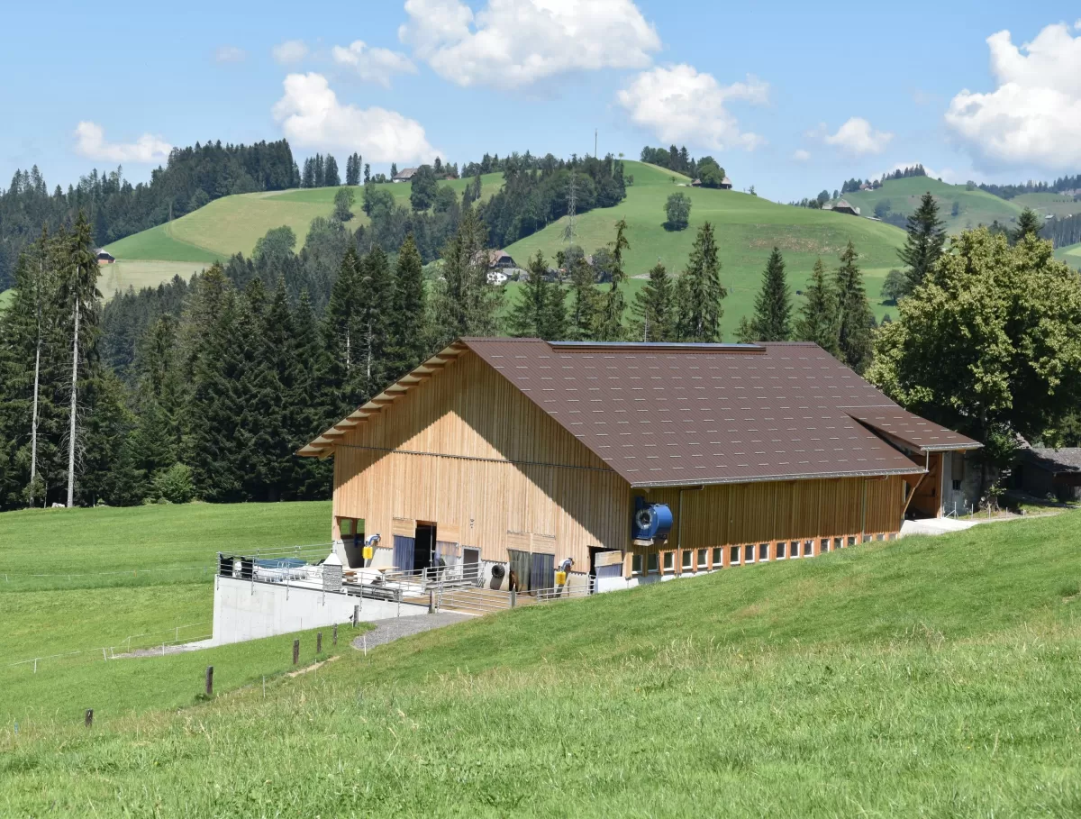 Neubau Bauernstall mit integriertem Heukrahn, Heuboden etc. Schalung aussen alles aus Holz aus der Region, respektive aus dem eigenen Wald.