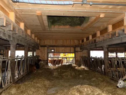 🔨 Projekt abgeschlossen – Abbruch & Wiederaufbau Dach & Futterlager! 🏗️  Für dieses landwirtschaftliche Gebäude durften wir den Abbruch und Wiederaufbau des Dachs und Futterlagers realisieren – inklusive einer Firstverlängerung für den Futterabladeplatz. Ein gelungenes Projekt, das Funktionalität und Qualität optimal vereint!  Als Spezialisten für Holzbau in der Landwirtschaftszone begleiten wir unsere Kunden von der Planung bis zur Umsetzung. Ob Sanierungen, Neubauten oder maßgeschneiderte Lösungen für l