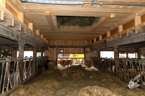 🔨 Projekt abgeschlossen – Abbruch & Wiederaufbau Dach & Futterlager! 🏗️  Für dieses landwirtschaftliche Gebäude durften wir den Abbruch und Wiederaufbau des Dachs und Futterlagers realisieren – inklusive einer Firstverlängerung für den Futterabladeplatz. Ein gelungenes Projekt, das Funktionalität und Qualität optimal vereint!  Als Spezialisten für Holzbau in der Landwirtschaftszone begleiten wir unsere Kunden von der Planung bis zur Umsetzung. Ob Sanierungen, Neubauten oder maßgeschneiderte Lösungen für l