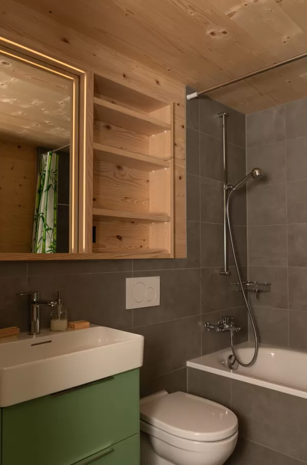 Nachhaltiger Neubau mit ökologischer Holzkonstruktion – Zimmerei Hirschi AG