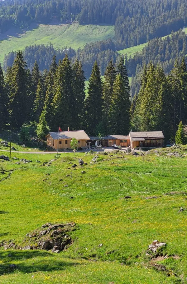 Holzhaus im Bau mit natürlicher Holzfassade inmitten einer Waldlandschaft. Das eingeschossige Gebäude steht auf einem gepflegten Grundstück mit Wiese und Zufahrtsweg. Die Fensteröffnungen sind bereits erstellt, während der Innenausbau noch im Gange ist. Im Hintergrund befinden sich weitere Holzbauten sowie hohe Nadelbäume, die das Gebäude umgeben. Die Aufnahme zeigt die harmonische Einbindung des Holzbaus in die natürliche Umgebung.