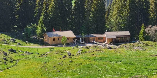 Holzhaus im Bau mit natürlicher Holzfassade inmitten einer Waldlandschaft. Das eingeschossige Gebäude steht auf einem gepflegten Grundstück mit Wiese und Zufahrtsweg. Die Fensteröffnungen sind bereits erstellt, während der Innenausbau noch im Gange ist. Im Hintergrund befinden sich weitere Holzbauten sowie hohe Nadelbäume, die das Gebäude umgeben. Die Aufnahme zeigt die harmonische Einbindung des Holzbaus in die natürliche Umgebung.