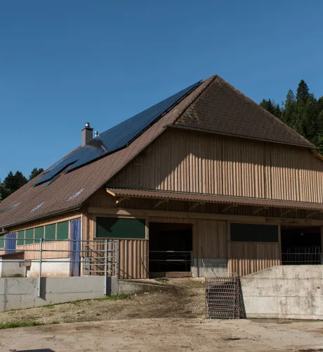 Aussenansicht eines landwirtschaftlichen Gebäudes in Holzbauweise mit grossem Satteldach. Auf dem Dach sind Solarpanels installiert. Das Gebäude steht auf einem Betonsockel und verfügt über offene Stallbereiche. Umgeben ist es von Grünflächen und Wald, bei klarem blauem Himmel.
