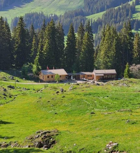 Holzhaus im Bau mit natürlicher Holzfassade inmitten einer Waldlandschaft. Das eingeschossige Gebäude steht auf einem gepflegten Grundstück mit Wiese und Zufahrtsweg. Die Fensteröffnungen sind bereits erstellt, während der Innenausbau noch im Gange ist. Im Hintergrund befinden sich weitere Holzbauten sowie hohe Nadelbäume, die das Gebäude umgeben. Die Aufnahme zeigt die harmonische Einbindung des Holzbaus in die natürliche Umgebung.