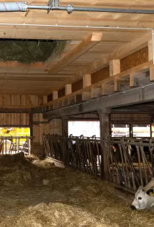 🔨 Projekt abgeschlossen – Abbruch & Wiederaufbau Dach & Futterlager! 🏗️  Für dieses landwirtschaftliche Gebäude durften wir den Abbruch und Wiederaufbau des Dachs und Futterlagers realisieren – inklusive einer Firstverlängerung für den Futterabladeplatz. Ein gelungenes Projekt, das Funktionalität und Qualität optimal vereint!  Als Spezialisten für Holzbau in der Landwirtschaftszone begleiten wir unsere Kunden von der Planung bis zur Umsetzung. Ob Sanierungen, Neubauten oder maßgeschneiderte Lösungen für l