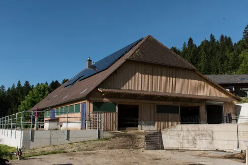 Aussenansicht eines landwirtschaftlichen Gebäudes in Holzbauweise mit grossem Satteldach. Auf dem Dach sind Solarpanels installiert. Das Gebäude steht auf einem Betonsockel und verfügt über offene Stallbereiche. Umgeben ist es von Grünflächen und Wald, bei klarem blauem Himmel.