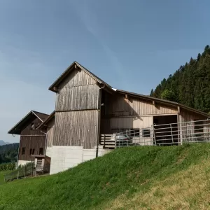 Neubau Scheune & Ökonomieteil. Im landwirtschaftlichen Anwesen ist bei allen Gebäuden, außer dem Wohnhaus und dem Auszugshaus, von einem Wirtschaftsgebäude die Rede. Der Begriff wird auch heute noch oft auch bei Neubauten von Scheunen, Ställen, Remisen und Unterständen verwendet, insbesondere im behördlichen Umfeld (Raumplanung, Baubewilligungsverfahren). Bei einem in ein Bauernhaus integrierten Stall (Wohnstallhaus) oder einer Scheune sind die Bezeichnungen Ökonomieteil bzw. Wirtschaftsteil korrekt.