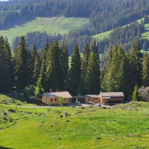 Holzhaus im Bau mit natürlicher Holzfassade inmitten einer Waldlandschaft. Das eingeschossige Gebäude steht auf einem gepflegten Grundstück mit Wiese und Zufahrtsweg. Die Fensteröffnungen sind bereits erstellt, während der Innenausbau noch im Gange ist. Im Hintergrund befinden sich weitere Holzbauten sowie hohe Nadelbäume, die das Gebäude umgeben. Die Aufnahme zeigt die harmonische Einbindung des Holzbaus in die natürliche Umgebung.