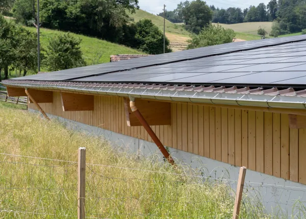Aussenansicht einer grossen, offenen Lager- oder Maschinenhalle in Holzbauweise mit geneigtem Dach. Die Konstruktion aus sichtbaren Holzbalken ruht auf einem Betonsockel. Im Inneren der Halle sind ein Gabelstapler und gelagerte Materialien zu erkennen. Die Umgebung wirkt ländlich und funktional gestaltet.